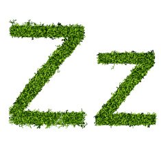 Isolated grass alphabet N2