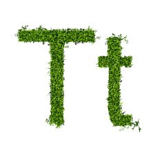 Isolated grass alphabet N3