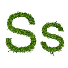 Isolated grass alphabet N4