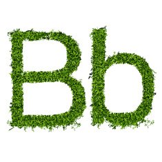 Isolated grass alphabet N6