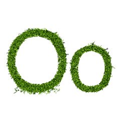 Isolated grass alphabet N7