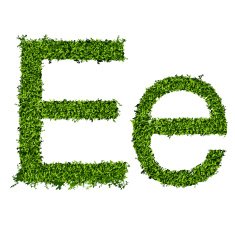 Isolated grass alphabet N8