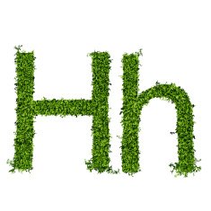 Isolated grass alphabet N9