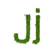 Isolated grass alphabet N10