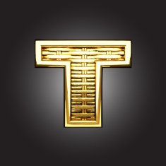 Vector golden figure t N2