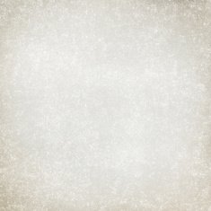 Grunge Background N1003