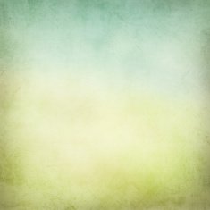 Grunge Background N1012