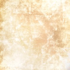 Grunge Background N1014