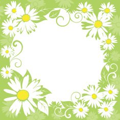Spring Floral Border N2