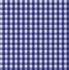 Picnic country checkered pattern N5