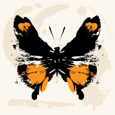 butterfly N170