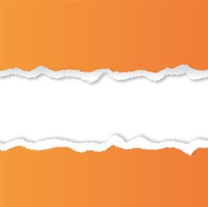 Torn Paper Background N10