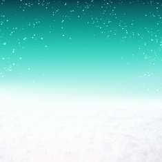 Snow environment