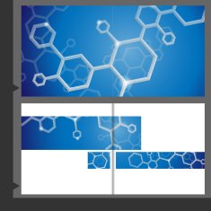 Molecule Brochure Design