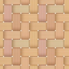 Birchbark Basketwork N6