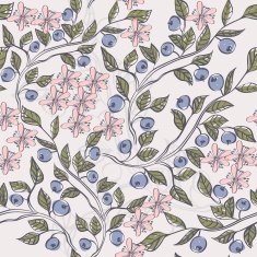 blueberries N2