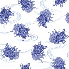 pattern of tortoise N6