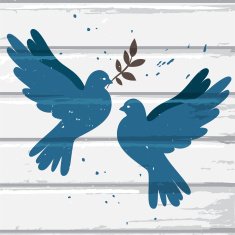 Two blue doves N2