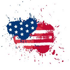 Blot in USA flag colors N2