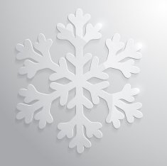 Glass transparent snowflake Christmas vector illustration N2