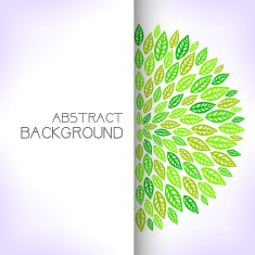 Green floral background N17