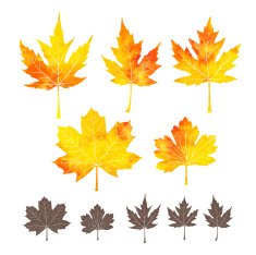 Set of watercolor leaves N8