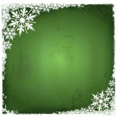 Vector Christmas Background N76