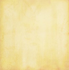 Grunge vector background N93