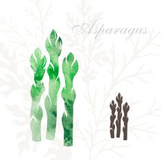 Asparagus icons set N2
