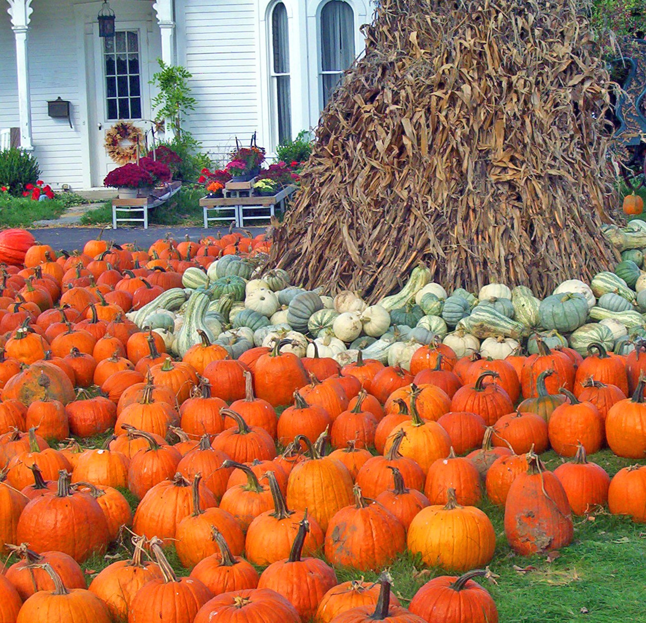 Halloween assortment pumpkin