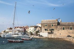 landscape of seaside in primosten at the daytime