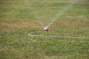 sprinkler on the green lawn