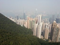 skyscrapers near a hill with green trees in Hong Kong