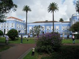 blue villa near the plants on the azores islands