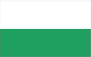 white-green flag