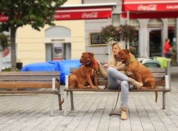 Girl with two dogs on a bench in the street