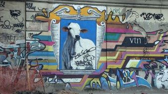 Graffiti of the cow