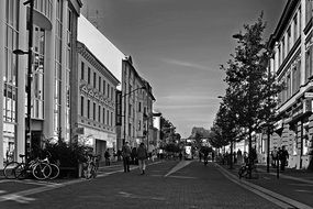 city street in black and white