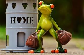 cute frog at home beautiful decoration