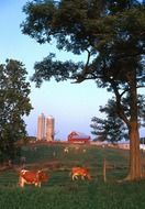nice wisconsin landscape
