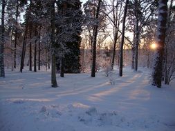 sunrise over the city park in winter