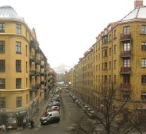 Street in wintry olivedal city