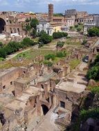 antique roman forum in rome italy