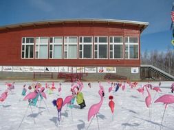 ski resort in the town of Fairbanks in Alaska