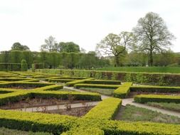 park with green bushes in poland