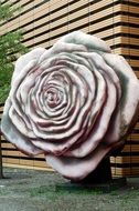 large concrete rose, contemporary sculpture