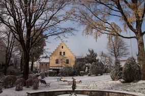 snowy weather in new zealand