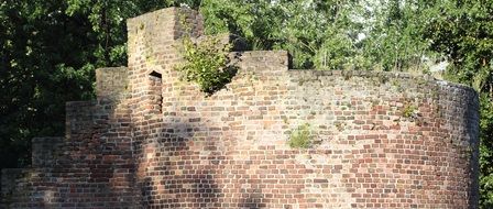 green trees near stone wall in germany