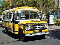 city bus in the street