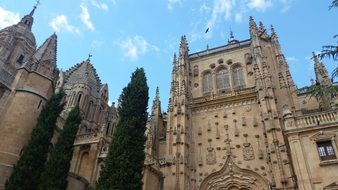 cathedral in salamanca